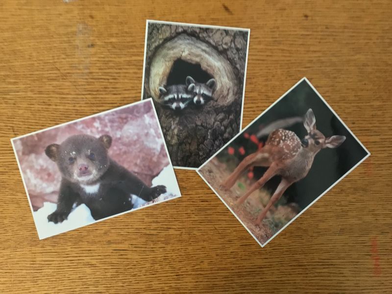 post cards   3    post cards   3